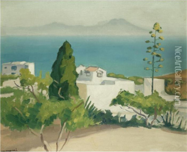 Paysage De Sidi Bou Said Oil Painting - Albert Marquet