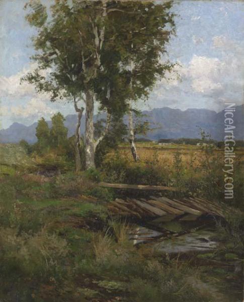 Toward The Adirondacks Oil Painting - Homer Dodge Martin