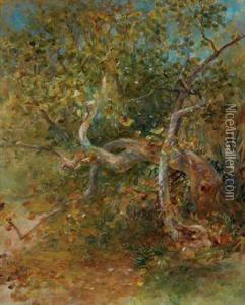 Tree And Leaves, Comfort Lodge, Florida Oil Painting - Louis Comfort Tiffany