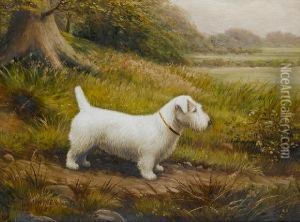 A White Sealyham In A Landscape Oil Painting - Henry Crowther