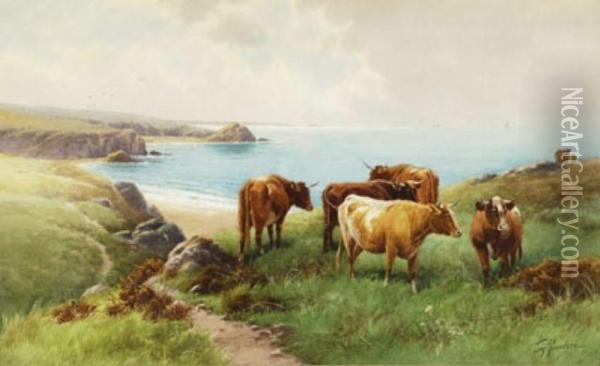 Cattle Oil Painting - Thomas, Tom Rowden