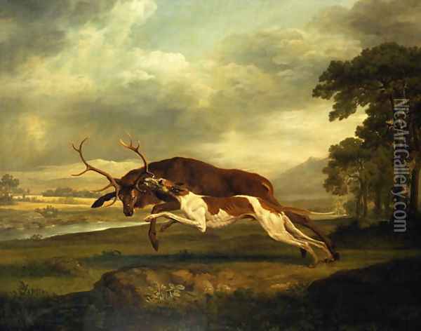 A Hound attacking a stag Oil Painting - George Stubbs