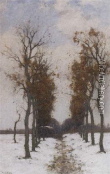 On A Country Lane In Winter Oil Painting - Cornelis Kuypers
