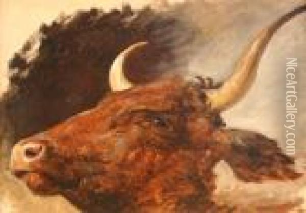 Head Study Of A Longhorn Bull Oil Painting - James Ward