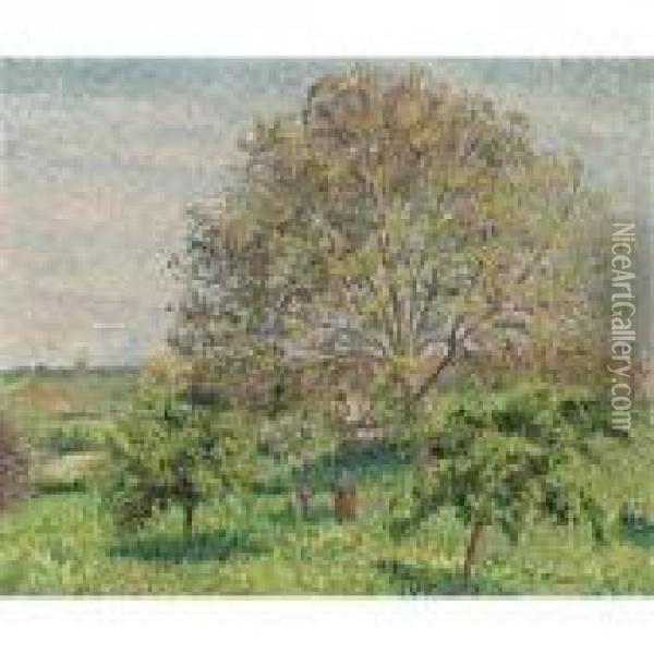 Le Grand Noyer Au Printemps, Eragny Oil Painting - Camille Pissarro