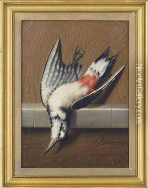Songbird (+ 3 Others; Set Of 4) Oil Painting - Michelangelo Meucci
