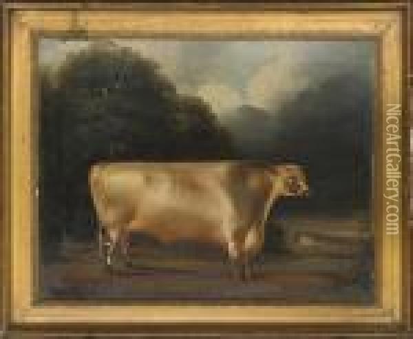 A Prize Bull Oil Painting - Thomas Weaver