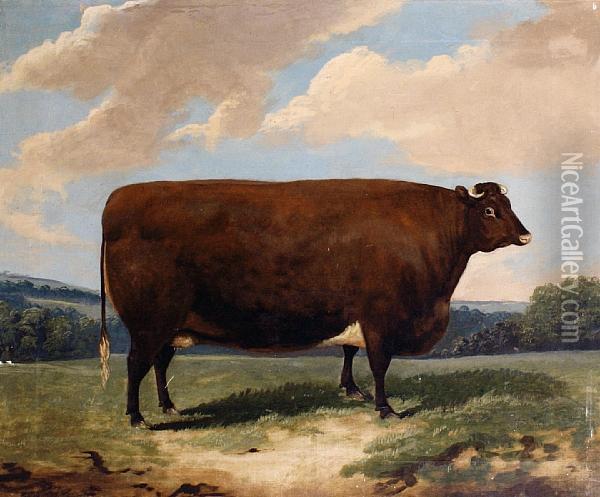 Cow In A Landscape Oil Painting - Richard Whitford