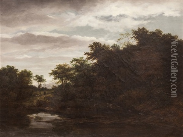 Krajina S Vodni Hladinou Oil Painting - Johann Novopacky