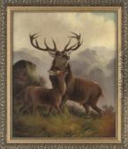 Deer In The Highlands Oil Painting - Robert Cleminson