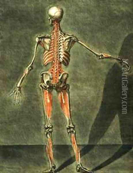 Deep Muscular System of the Back of the Body Oil Painting - Arnauld Eloi Gautier DAgoty