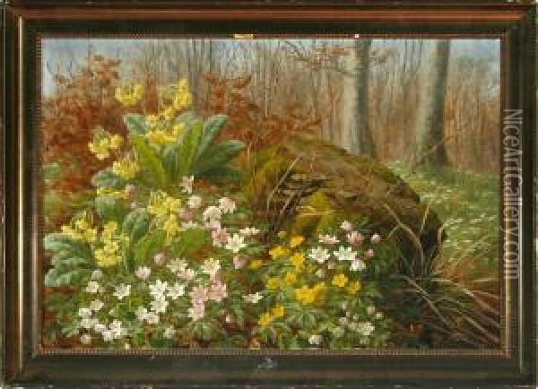A Flowering Forest Floor Oil Painting - Anthonie, Anthonore Christensen
