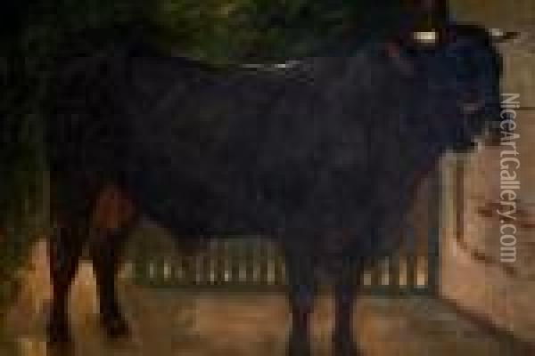 A Bull Tethered To A Wall Oil Painting - Rosa Bonheur