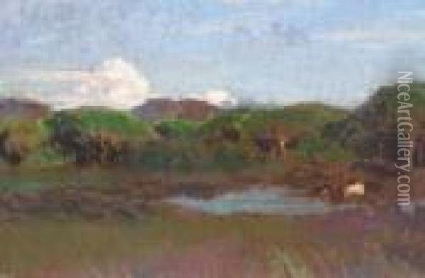 Paysage A La Mare Oil Painting - Emile Rene Menard