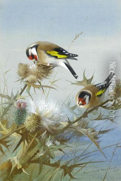 Goldfinches Oil Painting - Archibald Thorburn