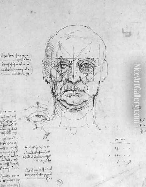 Study On The Proportions Of Head And Eyes Oil Painting - Leonardo Da Vinci