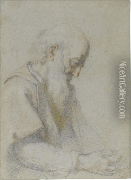 Old Man In Profile Looking Down To The Right Oil Painting - Cristofano Allori