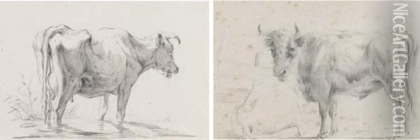 A Cow, Seen From Behind, Standing In A Stream; And Two Cows By Afence Oil Painting - Jan I Kobell