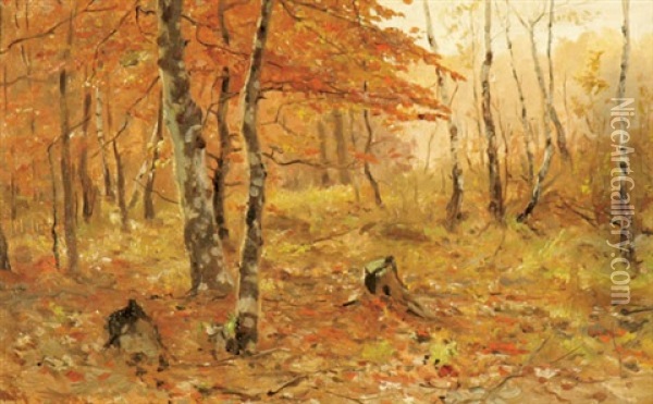Forest Interior In Autumn Oil Painting - Walter Moras