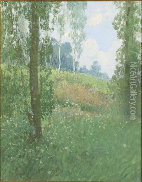 Landscape With Trees In An Open Field Oil Painting - Jaroslav Simunek