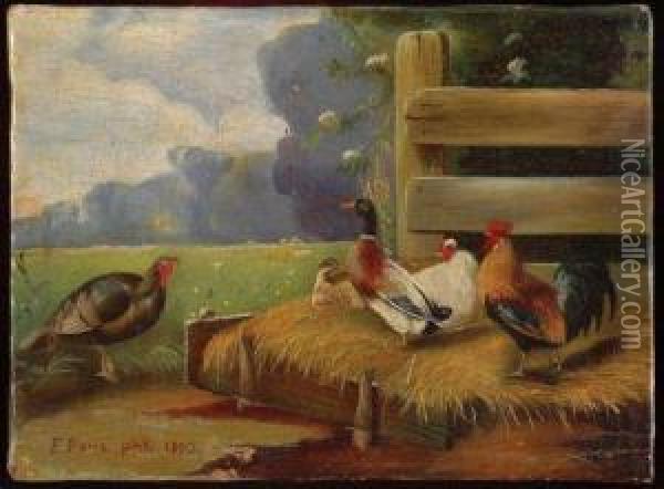 Aves De Granja Oil Painting - Felix Parra