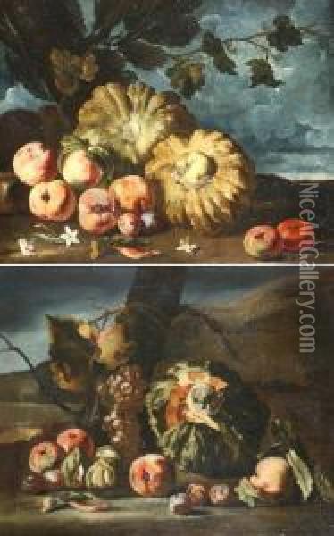 Nature Morte Con Frutta Oil Painting - Michele Pace Del (Michelangelo di) Campidoglio