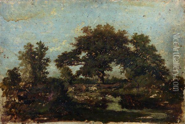 Vue Du Plateau De Belle-croix En Foret De Fontainebleau Oil Painting - Jules Dupre
