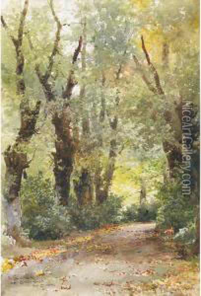 The Laurel Walk, Clovelly Court, Sept 27 Oil Painting - Lucius Richard O'Brien