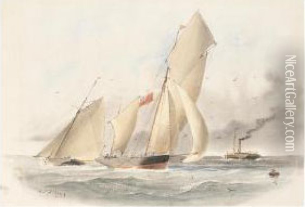 Sailing Boats And A Steam Ship Off The Coast Oil Painting - William Edward Atkins