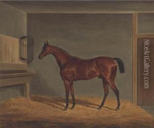 A Bay Racehorse In A Stable Oil Painting - James Loder