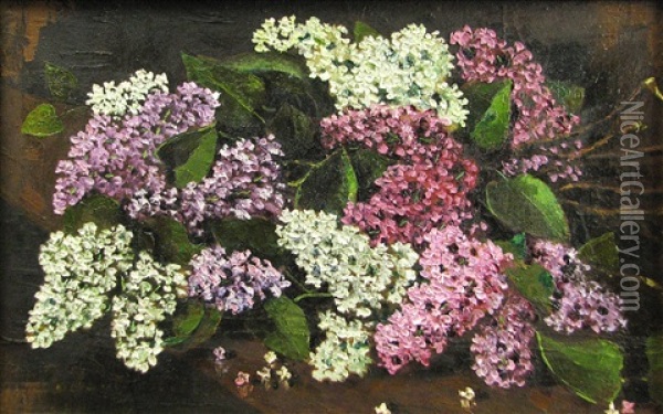 Lilac Branches Oil Painting - Octav Bancila