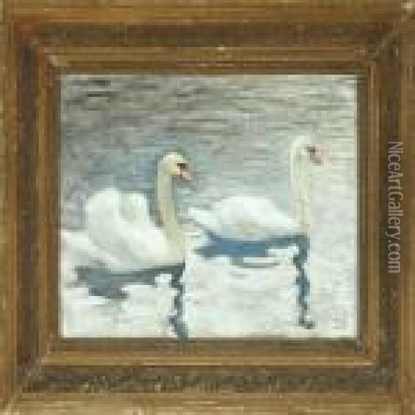Swans Oil Painting - Julius Paulsen
