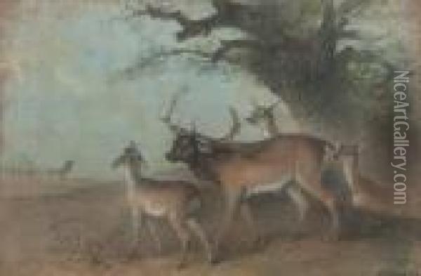 Stag And Does By An Old Oak Tree Oil Painting - Edward Robert Smythe