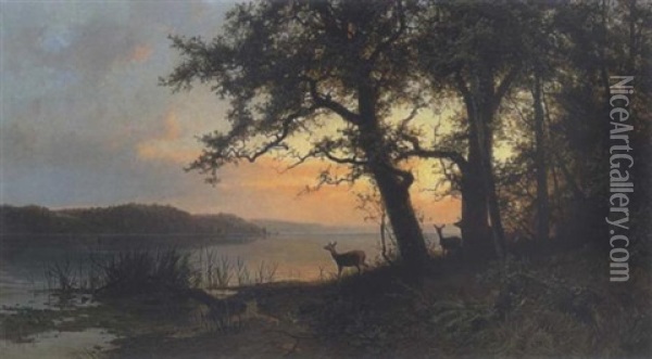 Rehe In Der Dammerung Am Seeufer Oil Painting - Gustav Meissner