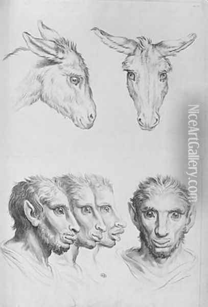 Similarities Between the Head of a Donkey and a Man Oil Painting - Charles Le Brun