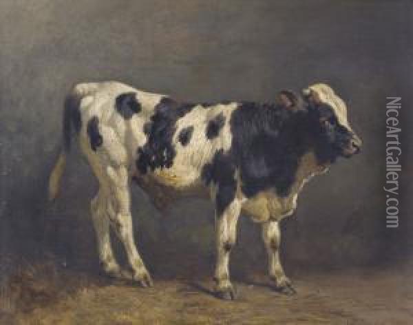 Junger Stier Oil Painting - Friedrich Johann Voltz