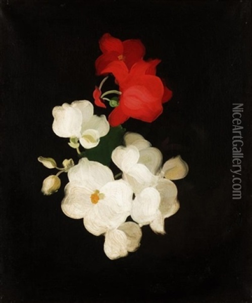 Red And White Roses Oil Painting - Stuart James Park