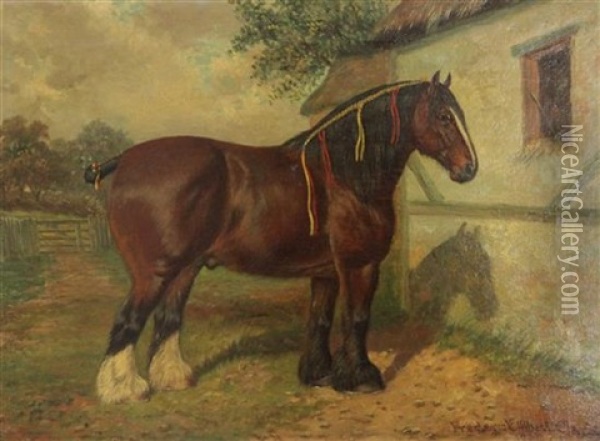 Portrait Of 2 Year Old Stallion Bearwardcote Blaze, Winner Of Champion Prize Shire Horse Show Oil Painting - Frederick Albert Clark