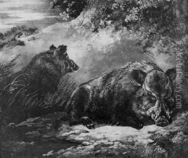 Zwei Wildschweine In Der Kuhle Oil Painting - August Schleich