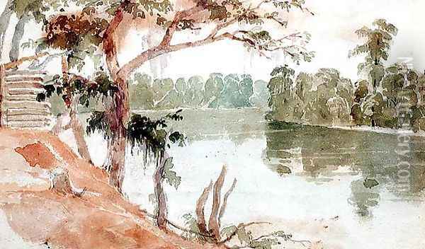 Cypress, Florida, September 1840 Oil Painting - Seth Eastman