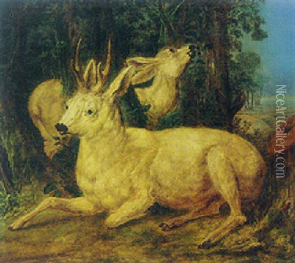 A Stag And A Faun In A Landscape Oil Painting - Carl Borromaus Andreas Ruthart