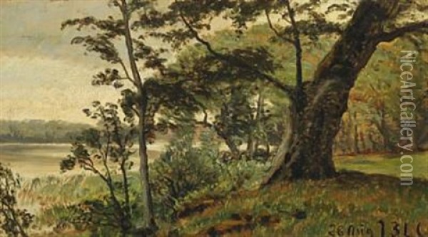 Forest Scenery With A Lake Oil Painting - Janus la Cour