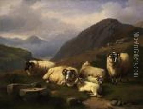 Sheep In The Scottish Highlands Oil Painting - Adolphe Robert Jones