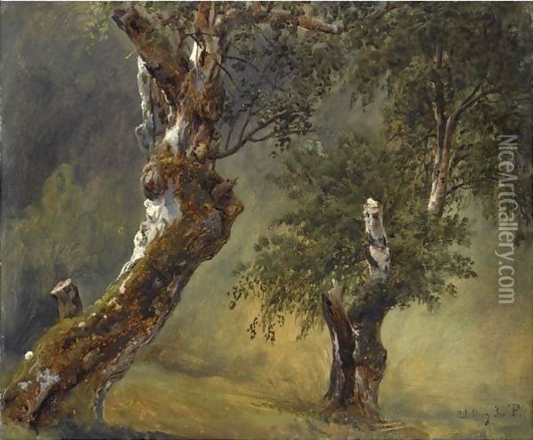 Studie Av Trar (Study Of Trees) Oil Painting - Thomas Fearnley