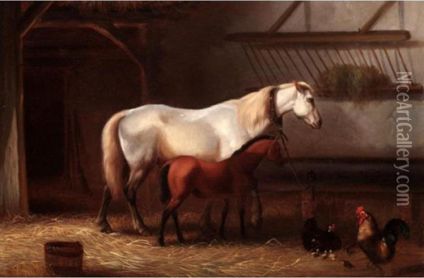 Horses And Chickens In A Stable Oil Painting - Franz van Severdonck