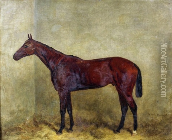 Newmarket - Study Of A Horse Oil Painting - Harry Hall