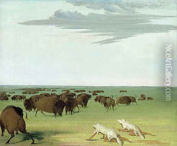 Buffalo Hunt under the Wolf-skin Mask Oil Painting - George Catlin
