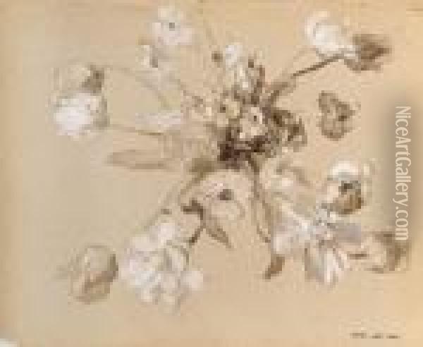 Etudes De Fleurs Oil Painting - Ernest Quost