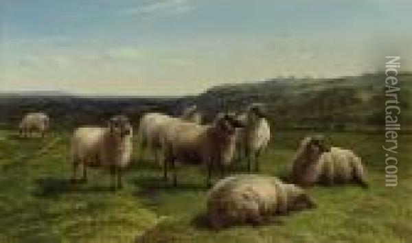 Sheep Grazing, Summertime Oil Painting - Charles Jones