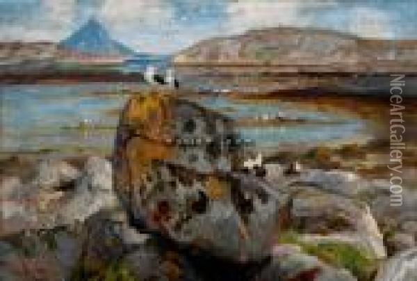 Sjofugler I Vannkanten Olje Pa Lerret Oil Painting - Thorolf Holmboe